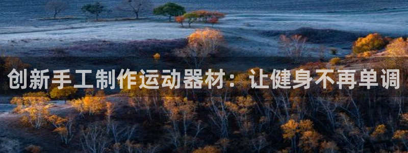 凯捷体育平台APP：创新手工制作运动器材：让健身不再