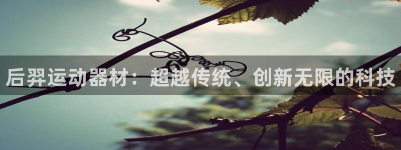 德国凯捷体育集团：后羿运动器材：超越传统、创新无限的