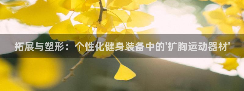 意昂平台体育：拓展与塑形：个性化健身装备中的\'扩胸