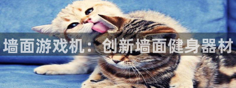 凯捷体育官网：墙面游戏机：创新墙面健身器材