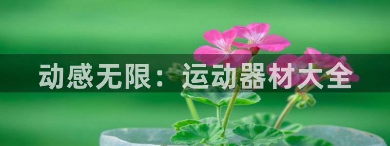 凯捷体育五金厂：动感无限：运动器材大全