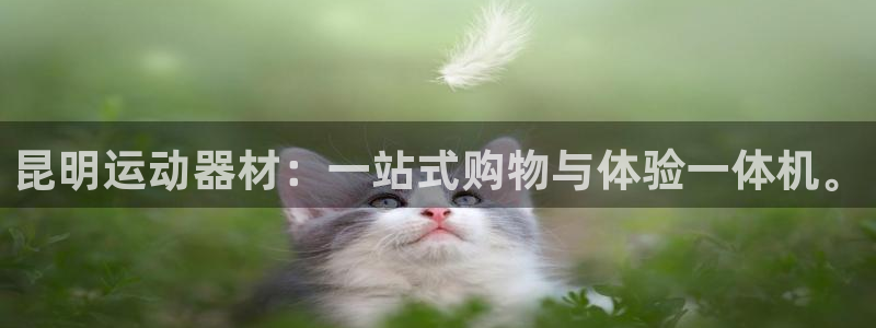 凯捷体育招商：昆明运动器材：一站式购物与体验一体机。