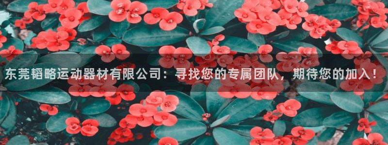 凯捷体育集团：东莞韬略运动器材有限公司：寻找您的专属