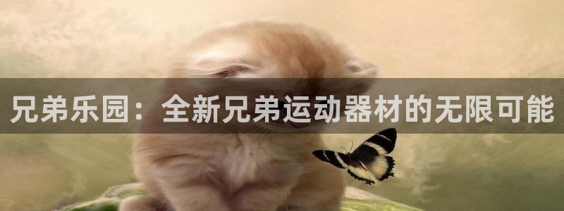 凯捷体育娱乐平台：兄弟乐园：全新兄弟运动器材的无限可