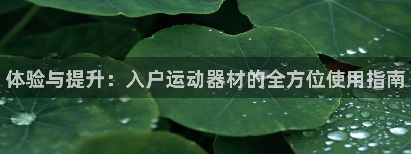 凯捷体育平台APP：体验与提升：入户运动器材的全方位