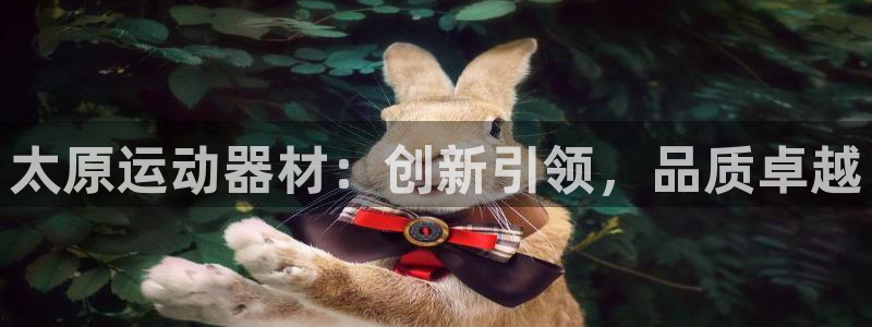 凯捷体育集团官网首页：太原运动器材：创新引领，品质卓越