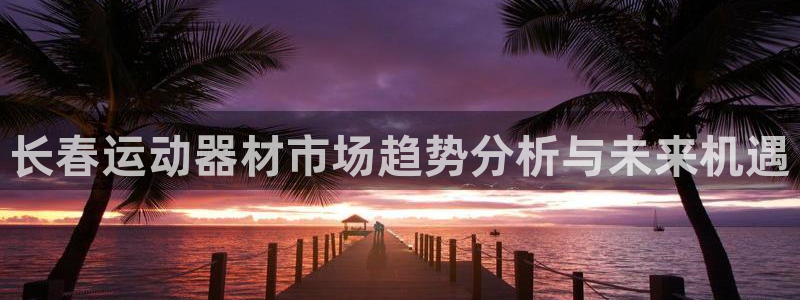 凯捷体育集团E.ON