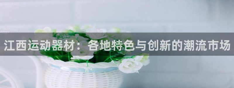 凯捷体育五金厂：江西运动器材：各地特色与创新的潮流市