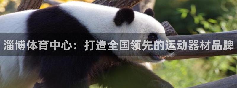 凯捷体育娱乐首页官网下载：淄博体育中心：打造全国领先