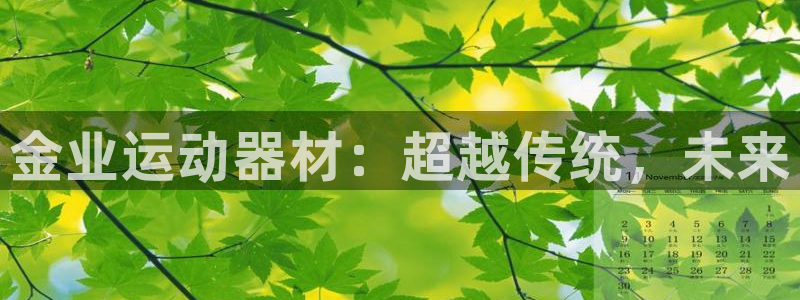 凯捷体育代理：金业运动器材：超越传统，未来