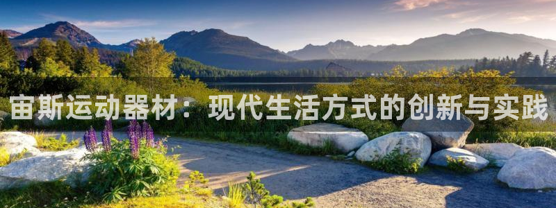 凯捷体育软件：宙斯运动器材：现代生活方式的创新与实践