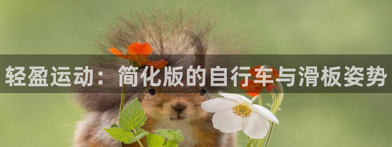 海南凯捷体育发展怎么样：轻盈运动：简化版的自行车与滑