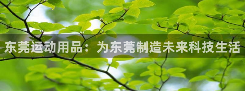 凯捷体育集团官网首页网址：东莞运动用品：为东莞制造未来科技生