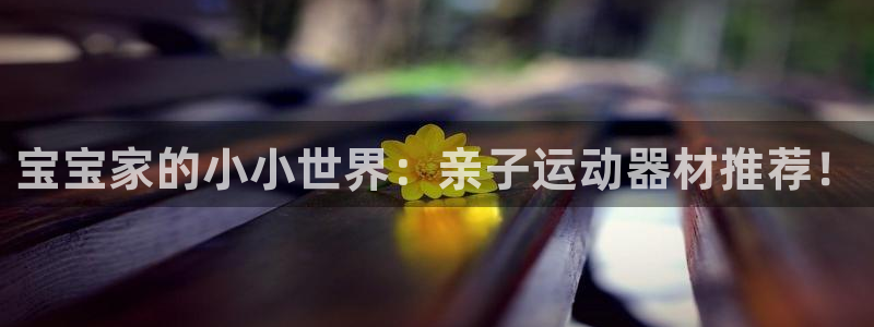凯捷体育招商电话号码查询：宝宝家的小小世界：亲子运动
