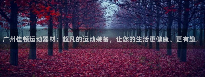 凯捷体育平台假的吗是真的吗吗：广州佳顿运动器材：超凡