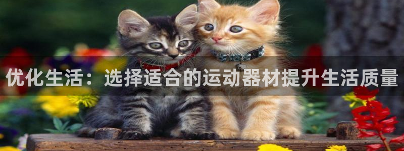 海南凯捷体育发展怎么样：优化生活：选择适合的运动器材