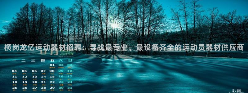 凯捷体育软件：横岗龙亿运动器材招聘：寻找最专业、最设