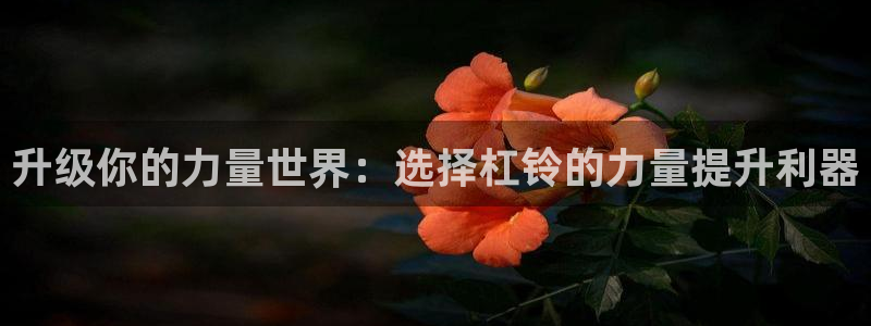 凯捷体育集团官网首页：升级你的力量世界：选择杠铃的力