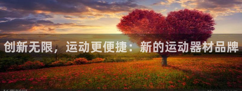 凯捷体育是干嘛的公司：创新无限，运动更便捷：新的运动