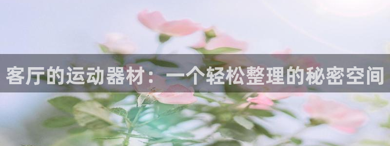 凯捷体育平台注册流程图：客厅的运动器材：一个轻松整理