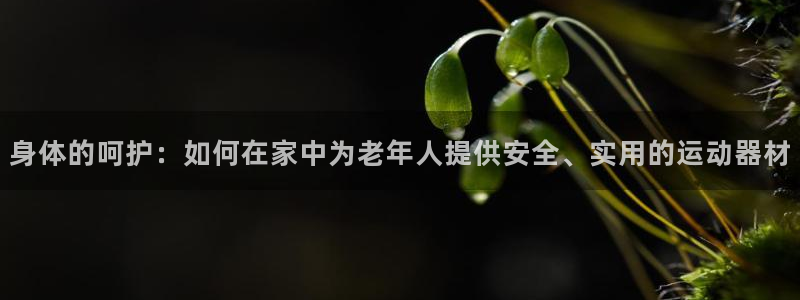 凯捷体育官网：身体的呵护：如何在家中为老年人提供安全