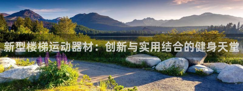 凯捷体育平台注册流程图：新型楼梯运动器材：创新与实用