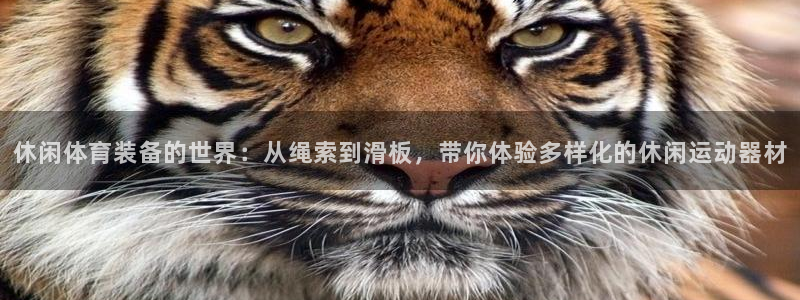 凯捷体育集团logo：休闲体育装备的世界：从绳索到滑