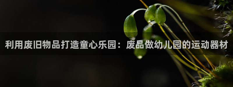 凯捷体育集团官网网址：利用废旧物品打造童心乐园：废品