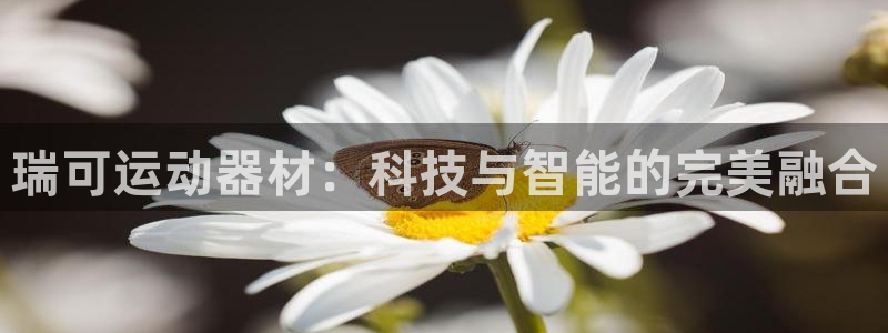凯捷体育官网：瑞可运动器材：科技与智能的完美融合