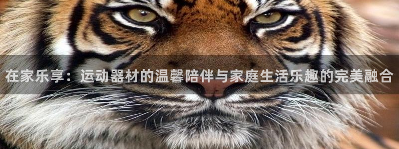 凯捷体育娱乐下载：在家乐享：运动器材的温馨陪伴与家庭