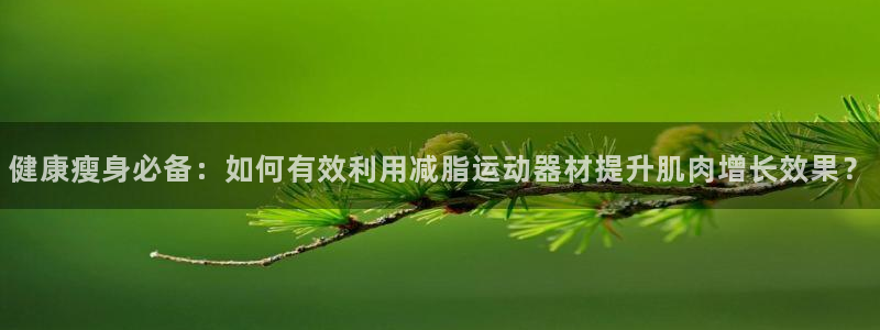 凯捷体育娱乐网站：健康瘦身必备：如何有效利用减脂运动