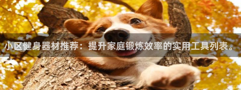 凯捷体育娱乐网站：小区健身器材推荐：提升家庭锻炼效率
