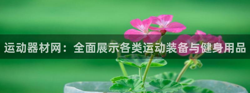 凯捷体育平台是正规平台吗知乎：运动器材网：全面展示各