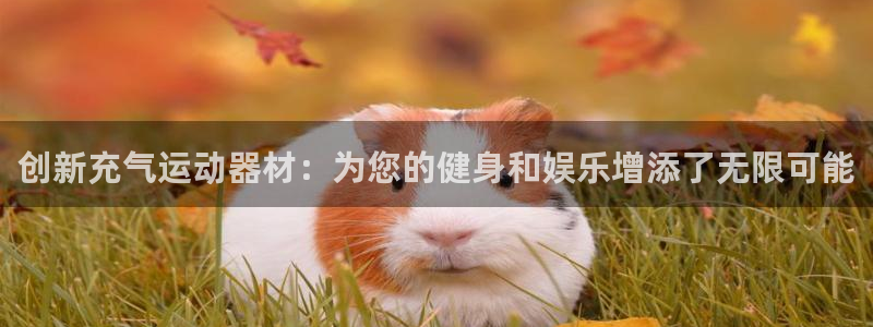 海南凯捷体育：创新充气运动器材：为您的健身和娱乐增添