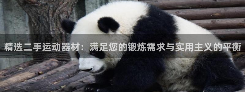 凯捷体育娱乐40996：精选二手运动器材：满足您的锻