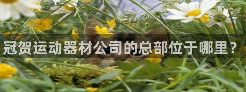 凯捷体育招商电话号码是多少号：冠贺运动器材公司的总部