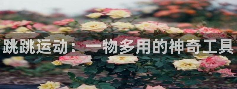 凯捷体育开户：跳跳运动：一物多用的神奇工具