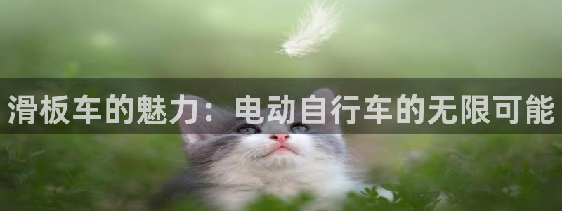 凯捷体育集团官网首页网址