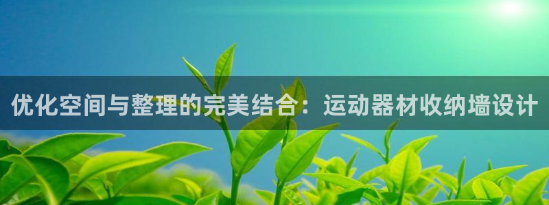 凯捷体育平台注册要钱吗：优化空间与整理的完美结合：运