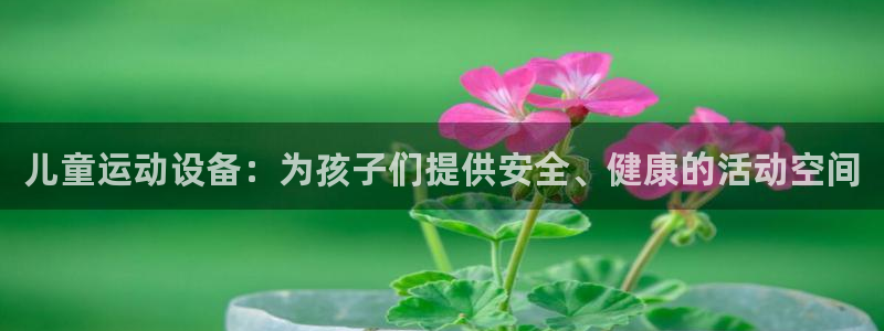 凯捷体育官网：儿童运动设备：为孩子们提供安全、健康的活动空间