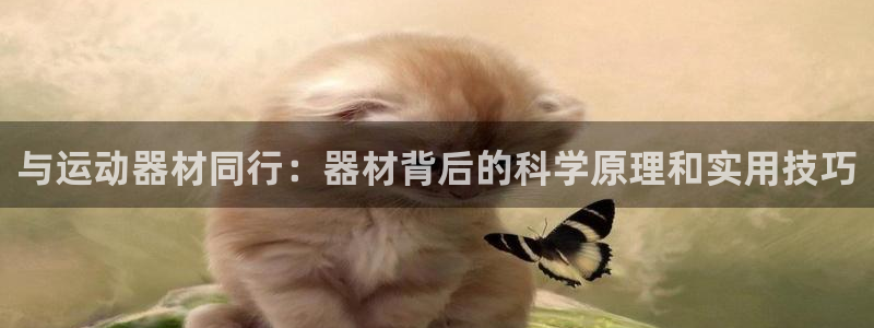 凯捷体育娱乐网站：与运动器材同行：器材背后的科学原理和实用技