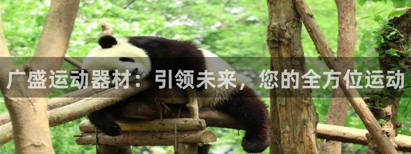 凯捷体育平台：广盛运动器材：引领未来，您的全方位运动