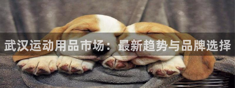 凯捷体育集团logo：武汉运动用品市场：最新趋势与品