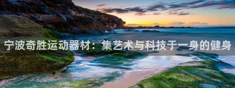 凯捷体育集团E.ON：宁波奇胜运动器材：集艺术与科技