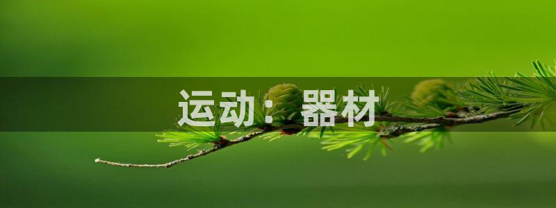 凯捷体育娱乐首页官网下载