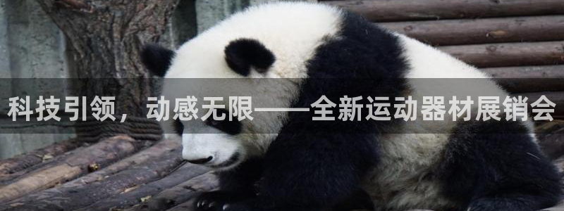凯捷体育新能源：科技引领，动感无限——全新运动器材展