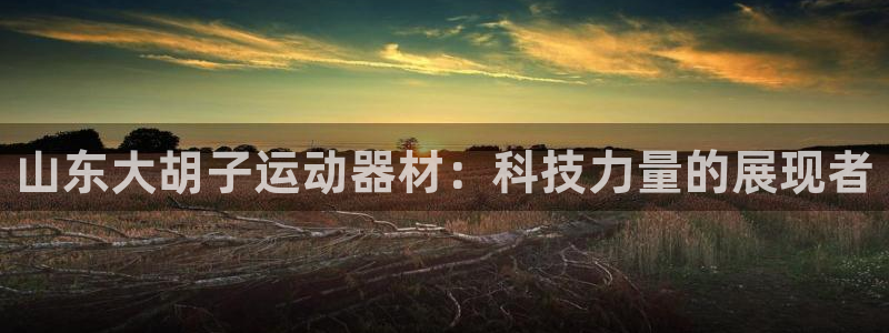凯捷体育招商电话号码是多少号：山东大胡子运动器材：科