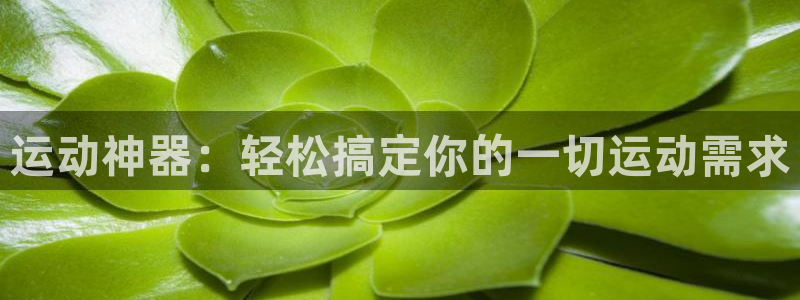 凯捷体育娱乐40996：运动神器：轻松搞定你的一切运