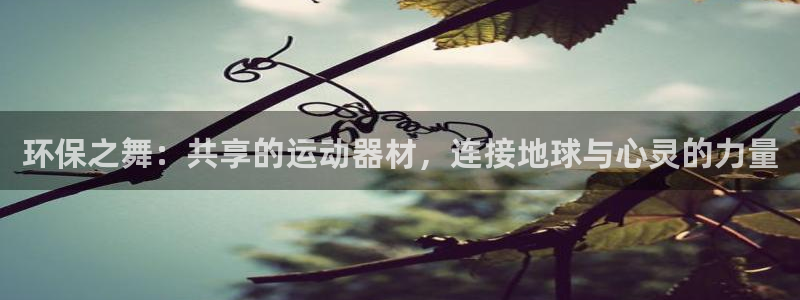 德国凯捷体育集团：环保之舞：共享的运动器材，连接地球