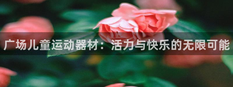 凯捷体育集团简介：广场儿童运动器材：活力与快乐的无限